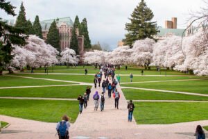 a group of people walking on a path with trees in the background