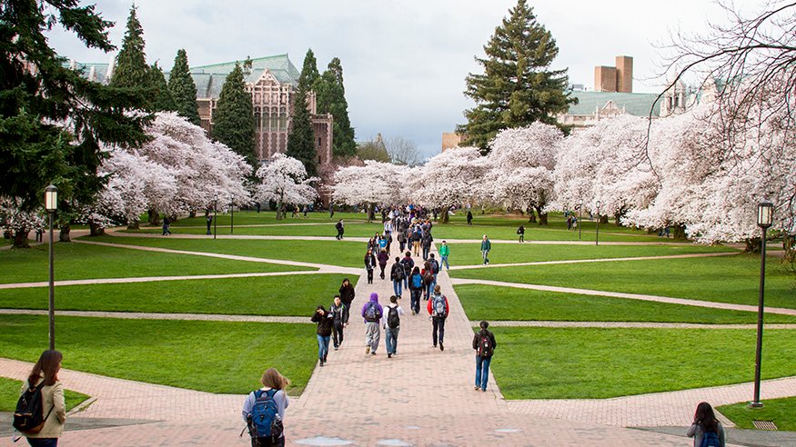 a group of people walking on a path with trees in the background